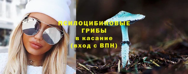 сатива Алзамай
