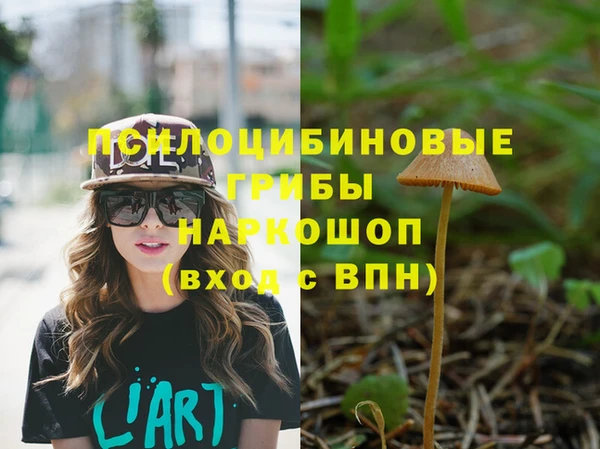 сатива Алзамай