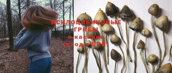 соль курить ск Алексин